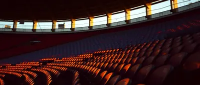 NFF takker landslaget for VM-eventyret: «Vi hører til i toppen»